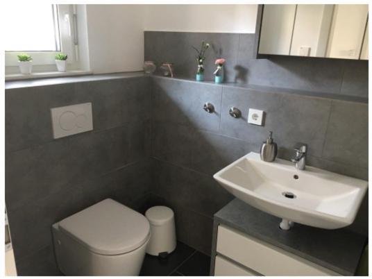 Ferienwohnung Bodensee Nenzingen Hegau Orsingen-Nenzingen المظهر الخارجي الصورة